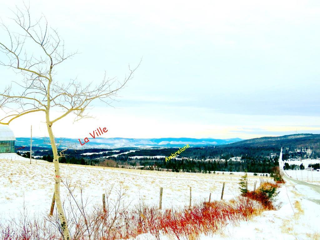 Le Gite Ambrelane Thetford Mines Luaran gambar
