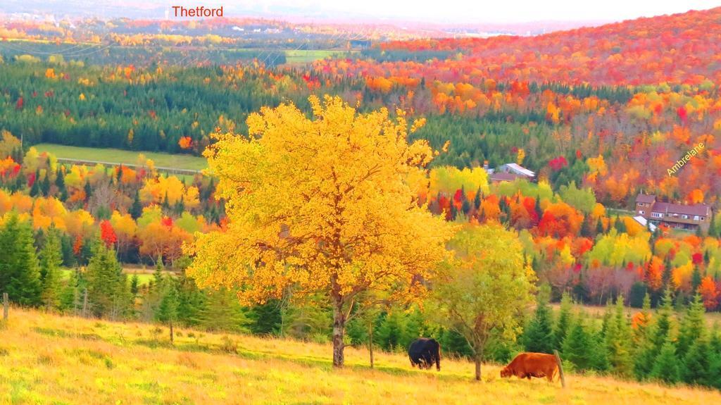 Le Gite Ambrelane Thetford Mines Luaran gambar