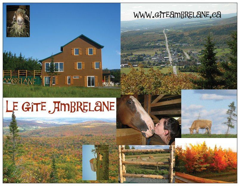 Le Gite Ambrelane Thetford Mines Luaran gambar