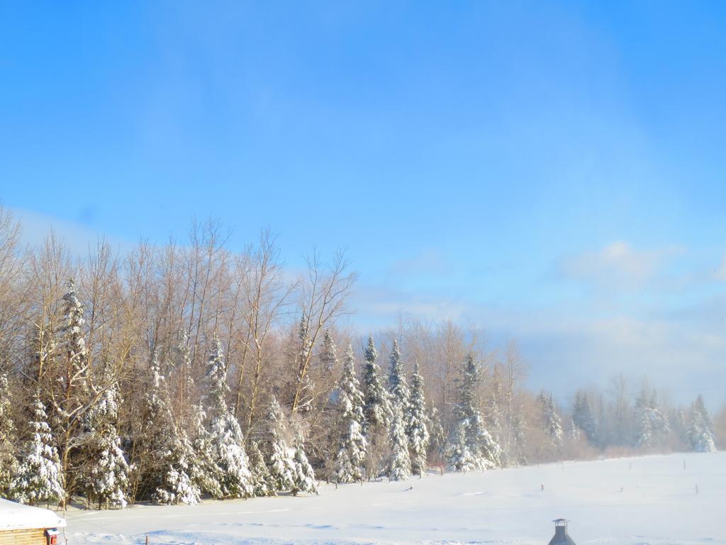 Le Gite Ambrelane Thetford Mines Luaran gambar
