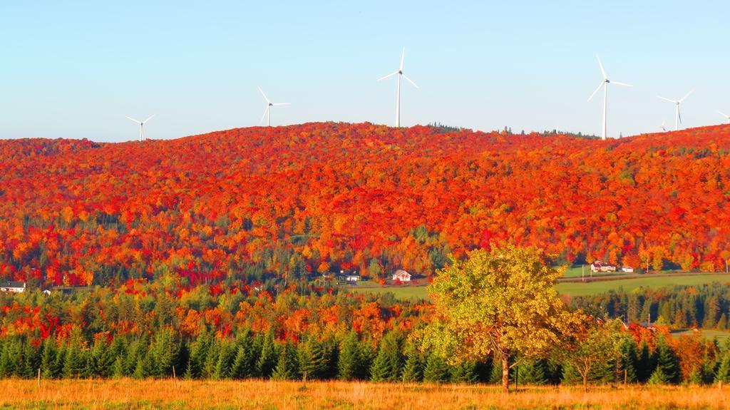 Le Gite Ambrelane Thetford Mines Luaran gambar