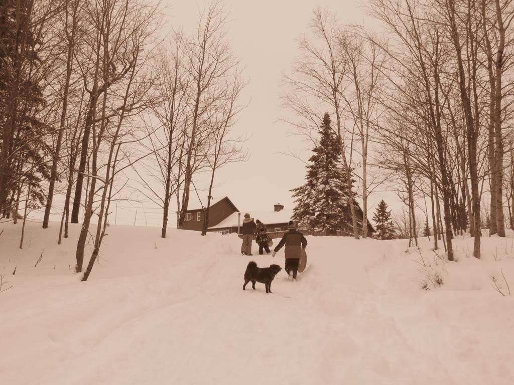 Le Gite Ambrelane Thetford Mines Luaran gambar