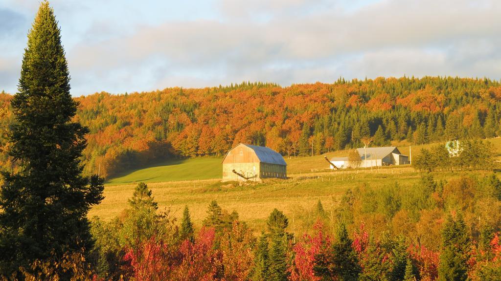 Le Gite Ambrelane Thetford Mines Luaran gambar